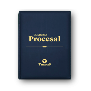 copia de copy of Sumario Procesal 2022