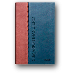 copia de copy of Sumario Financiero 2022